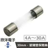 在飛比找樂天市場購物網優惠-※ 欣洋電子 ※ 30mm 玻璃管保險絲 4A至30A