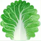 Novelty Cabbage Blanket Blanket Air Conditioning Blanket Kid