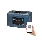 Projecta 12V 100Ah Lithium Battery Bluetooth N70 Casing Power 2000W Inverters