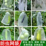 100個水果蔬果防蟲網袋透明束口網布袋 蔬菜透氣抽繩袋 水果套袋保護袋 收納禮品袋