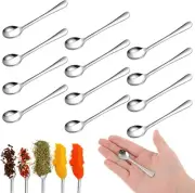 12 Pcs 2.87" Tiny Stainless Steel Spoons for Spices Jars Mini Sliver, Sliver