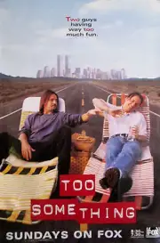 TOO SOMETHING ORIGINAL 1995 FOX TV POSTER 40" X 27" ERIC SCHAEFFER, DONAL WARD