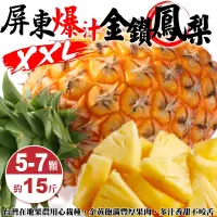 在飛比找PChome24h購物優惠-【果農直配】屏東爆汁XXL金鑽鳳梨(5-7入/約15斤±10