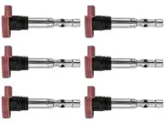 BBT Auto 97MV77C Ignition Coil Set Fits 2002-2006 Audi A4 Quattro 3.0L V6 (for: Audi)