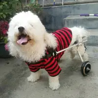 在飛比找樂天市場購物網優惠-狗狗輪椅癱瘓狗代步車殘疾狗輔助后腿鍛煉車斷腿狗寵物車康復輪椅