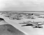 WWII BOEING B-17 FLYING FORTRESS LINE-UP 8x10 GLOSSY PHOTO PRINT