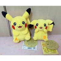 在飛比找蝦皮購物優惠-⚡️現貨⚡️已絕版 日本寶可夢中心 POKEMON CENT