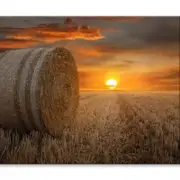 Straw Bales in A Field at Sunset View Print 100% Australian Made 150 x 100cm (Stretched)