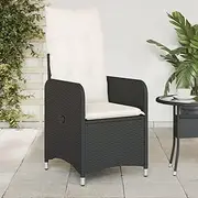 Reclining Chairs with Comfortable Cushions, Foldable Patio Chairs, Outdoor Camping Lounge Furniture, Backyard Seating, Poly Rattan Garden Chair, 2 pcs Black