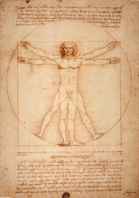 LEONARDO DA VINCI *2X3 FRIDGE MAGNET* VITRUVIAN MAN MATHMATICS ARTIST PROPORTION