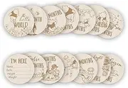 Baby Bear Age Milestone Sign, Baby Monthly Cards/Discs for Memory Keepsake Photo Taken 7 Pcs Double Sided