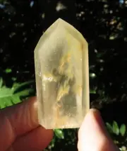 Rare Natural Yellow Rutile Quartz polished Terminated Point Untreated gift AU