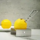 Fruit Juicer Lemon Squeezing Tool Stainless Juicer Juicer Multifunction Heavy
