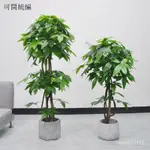 ★限時免郵 工廠直銷★假樹 綠植 髮財樹 仿真植物 大型落地盆栽 造景塑料裝飾 假花 仿真客廳室內擺件 假植物落地裝飾植