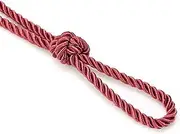 6mm Silky Barley Twist Cord Rope Braid 3 Ply & Matching 16mm Flanged Insertion Piping Furnishing Upholstery Crafts Trimming,36 Colors. High Strength, Neotrims. 10 Yards, Burgundy (Cord)