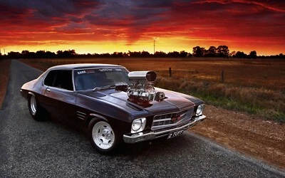 Holden Car poster, BIG420mm, v8 supercars, commodore. Monaro, GTS,Racing drag