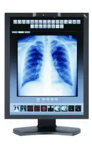 NEC MultiSync MD211C3 - LED monitor - 3MP - color - 21.3"