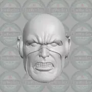 Reverse Flash v2 Eobard Thawne custom head for McFarlane DC & other figures