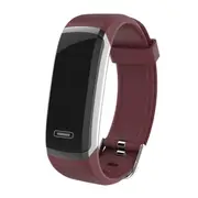 GT101 0.96inch Color Screen Heart Rate Monitor Fitness Tracker bluetooth Smart Wristband RED COLOR