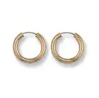 Sleepers Earrings 10mm Yellow Gold