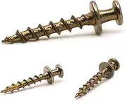 Bear Claw Screw Hanger Gold - 30lb Picture Hooks - 4-in-1 Picture Hanging Screws for D-Rings, Sawtooth, Wire and Keyholes - Mounts in Drywall and Wood Studs 30 Pack
