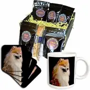 3dRose Pomeranian Portrait Coffee Gift Basket, Multi