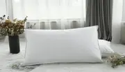 King pillow White Goose Down 50*90CM