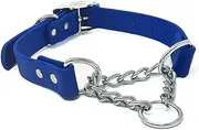 Regal Dog Products Martingale Collar for Dogs - Waterproof Biothane Collar for Small, Medium, Large Dogs - Limited Cinch Heavy Duty Chain for No Pull Dog Walking and Pet Training (Small, Blue)