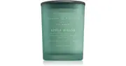 DW Home Charming Farmhouse Apple Melon scented candle 414 g