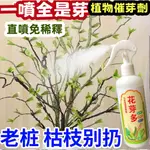 【.台灣發貨】正品 植物催芽劑 老樁發芽素 活化植物僵苗 促芽僵苗快速發芽防止黃葉爆芽素