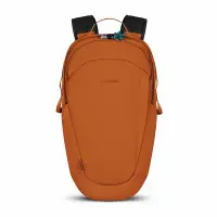 在飛比找PChome24h購物優惠-Pacsafe PACSAFE ECO 25L 都市防盜後背