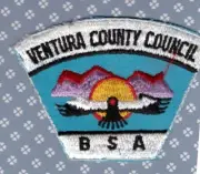 CSP Ventura County Council Unlisted - Mint - Cut Edge Condor