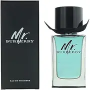 MR BURBERRY 100ml edt (M), 100 ml
