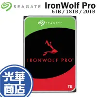 在飛比找蝦皮購物優惠-Seagate 希捷 IronWolf 那嘶狼 Pro  6