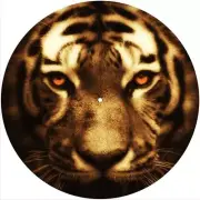 Slipmat Slip Mat Pad Felt for any 12" Turntable LP DJ Record Player CAT TIGER 4