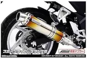 Wiluswin CBR250R MC41 Slip-On Scarf, Sports, JMCA Certified, Titanium