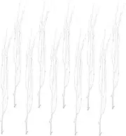 iplusmile 12Pcs Natural Dried Twig Branch Decor for Home Wedding Party Elegant Stems for Vase Filler Office Living Room Decoration Photo Props Rustic Charm