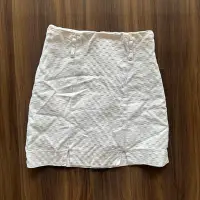 在飛比找Yahoo!奇摩拍賣優惠-白色格紋有內裡褲後拉鍊短裙窄裙迷你裙 前有兩小開衩  實拍照