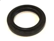 Shaft Seal, differential CORTECO 12015744B for IVECO TRAKKER I 7.8 2006-2007