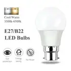 E27/B22 Light Bulb LED Replacement Globe Lamp Cool/Warm White Bright Home 6X/10X