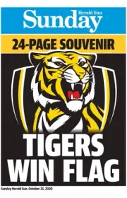 Richmond tigers premiers team poster,AFL football,Geelong cats,swans ,pies,book