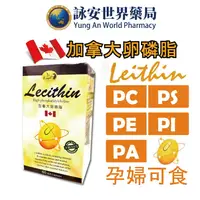 在飛比找樂天市場購物網優惠-康心 加拿大卵磷脂 LECITHIN 軟膠囊 60粒/盒 【