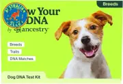 Know Your Pet DNA by Ancestry: Dog DNA Breed Identification Test, Genetic Traits