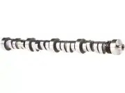 Camshaft For F150 Bronco E150 Econoline Club Wagon E250 E350 Super Duty ST73X4 (for: Ford)