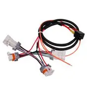 MSD Ignition Coil Harness - MSD Coils, MSD88867