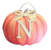 Ashland Pumpkin Patch Wall Decor With Letter N