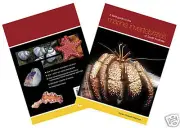 Field Guide to the Marine Invertebrates of South Australia -Karen Gowlett-Holmes