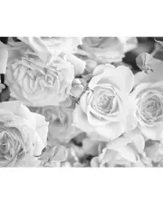 Brewster Grey Petals Wall Mural