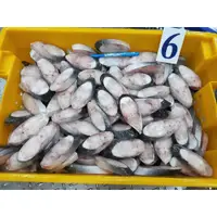 在飛比找蝦皮購物優惠-【佳魚水產】銀鯰魚片 巴沙魚(6號10-12A/斤)10kg