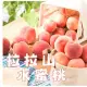 *預購 黑貓嚴選【桃園拉拉山】水蜜桃(6粒/2台斤8兩/盒) 6/17~6/25出貨